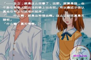 月姬 电脑游戏 简体中文版 支援win11 win10 win7