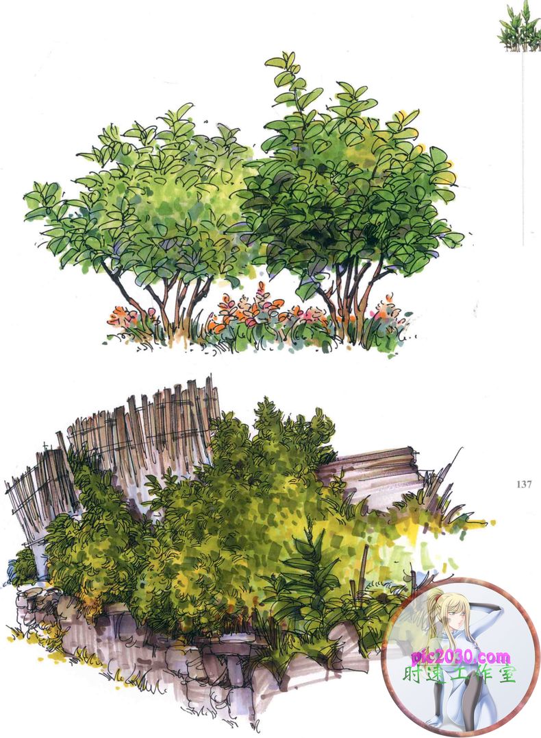 景观手绘植物380张园林景观植物手绘设计速写景钢笔画马克笔临摹图案片彩色素材